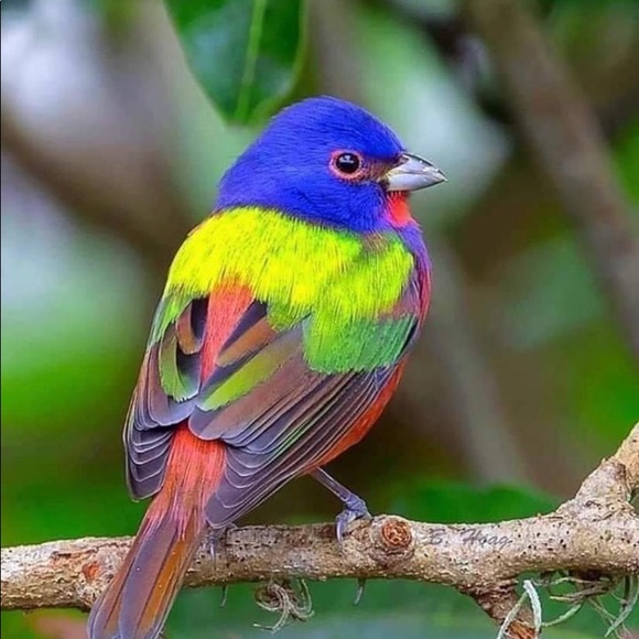 Meet your Posher, Mo - Picture 1 of 1